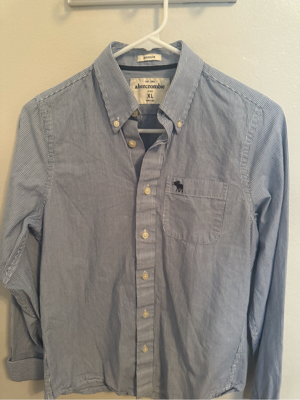 Vintage Abercrombie & Fitch Kid’s Blue Pinstripe Button-Down Shirt-XL